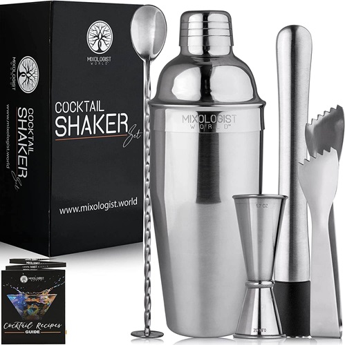 Best Cocktail Shaker Set Mixologist