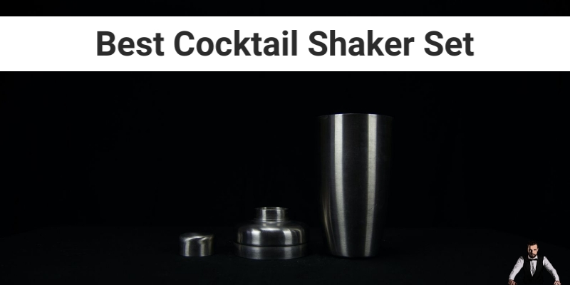 Best Cocktail Shaker Set – Jiggle Your Swizzle